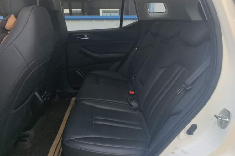 Used GAC Trumpchi GS4 2020 270T Automatic Elite Tech Edition Left Rear Seat