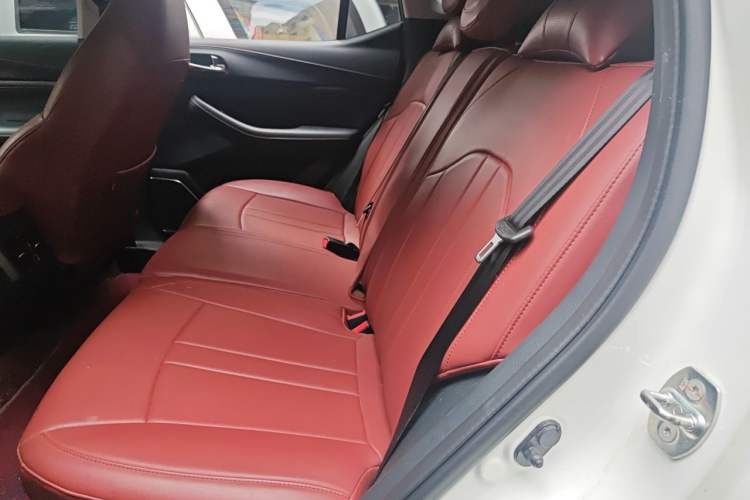 Used GAC Trumpchi GS4 2020 270T Automatic Elite Tech Edition Left Rear Seat