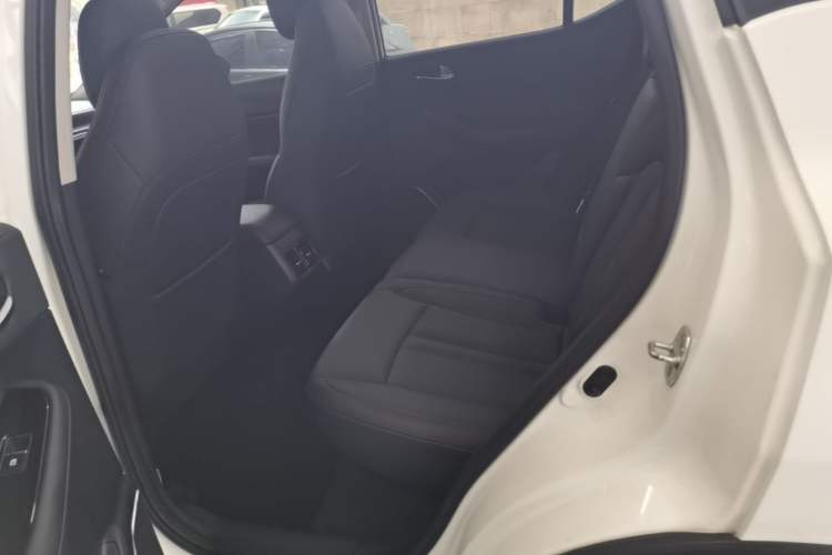 Used GAC Trumpchi GS4 2020 270T Automatic Luxury Smart Connectivity Version Left Rear Seat