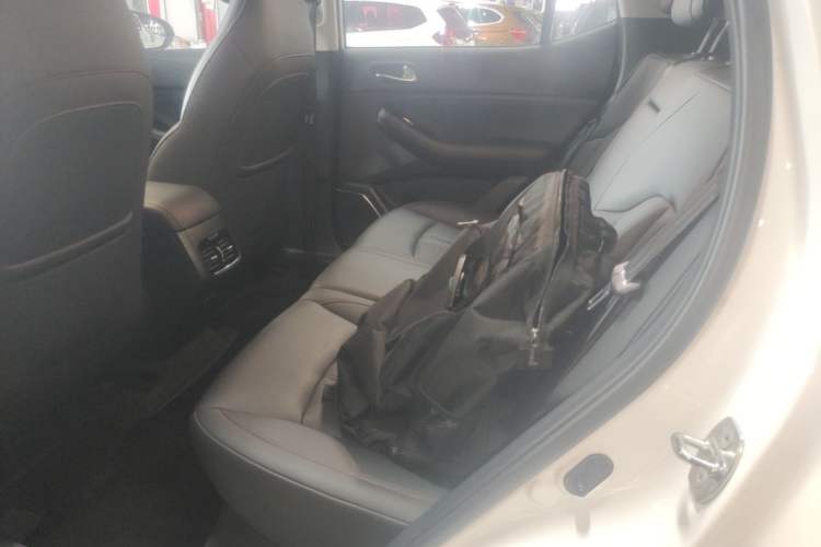 Used GAC Trumpchi GS4 2020 270T Automatic Elite Tech Edition Left Rear Seat