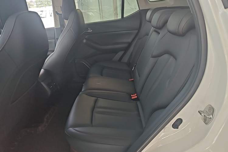 Used GAC Trumpchi GS4 2020 270T Automatic Smart Connectivity Edition Left Rear Seat