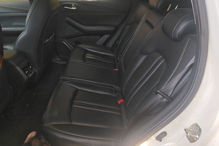 Used GAC Trumpchi GS4 2020 270T Automatic Luxury Smart Connectivity Version Left Rear Seat