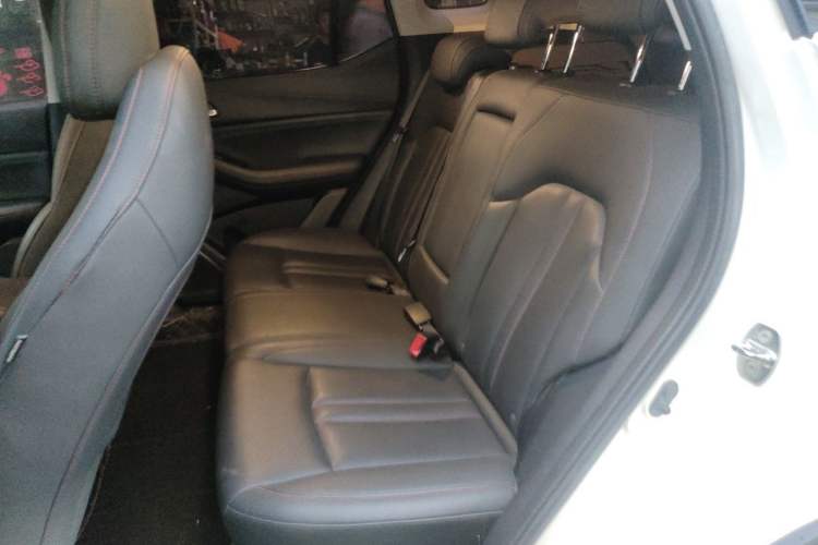 Used GAC Trumpchi GS4 2020 270T Manual Luxury Edition Left Rear Seat