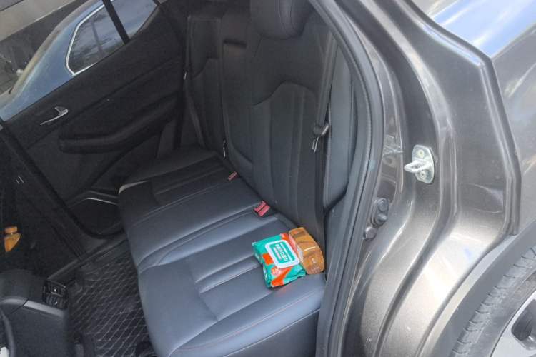 Used GAC Trumpchi GS4 2021 270T Automatic Smart Connectivity Technology Edition Left Rear Seat