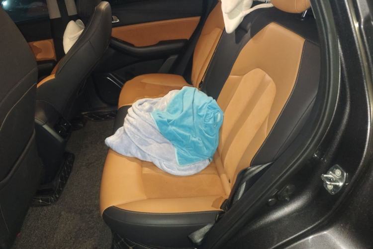 Used GAC Trumpchi GS4 2021 270T Automatic Luxury Edition Left Rear Seat