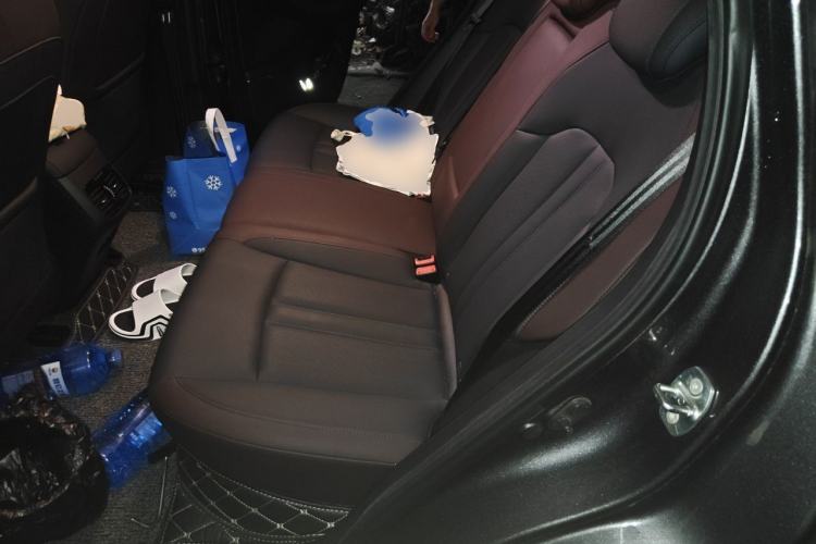 Used GAC Trumpchi GS4 2021 270T Automatic Smart Connectivity Technology Edition Left Rear Seat