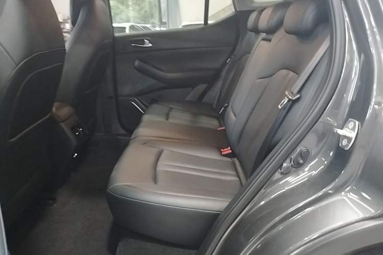 Used GAC Trumpchi GS4 2021 270T Automatic Tech Luxury Edition Left Rear Seat