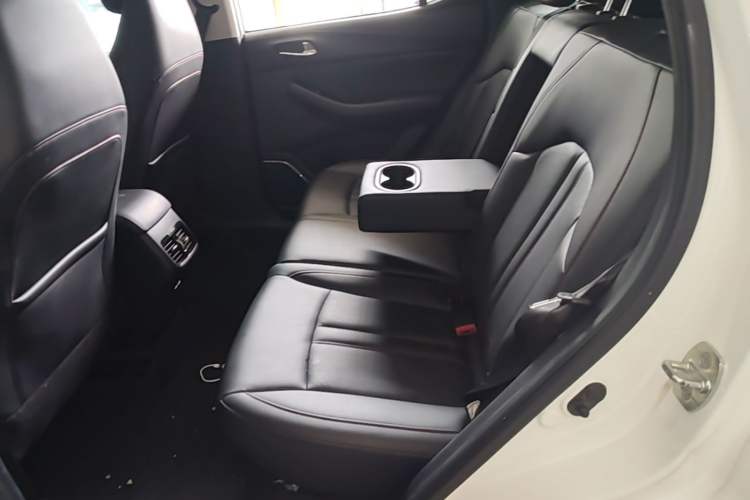 Used GAC Trumpchi GS4 2021 270T Automatic Elite Tech Edition Left Rear Seat