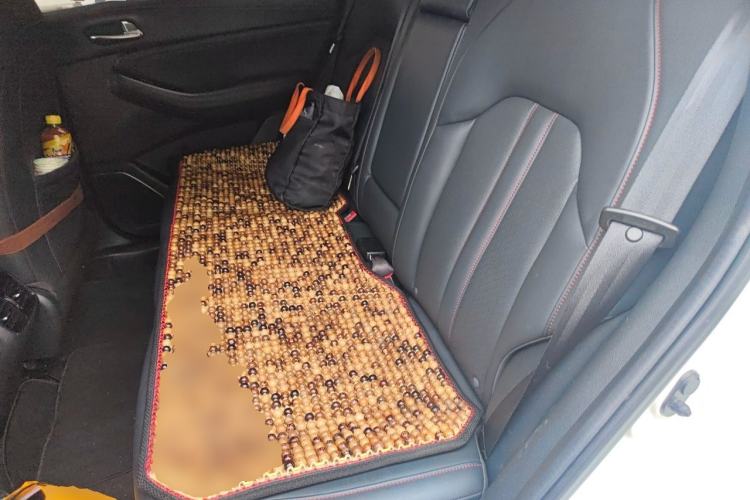 Used GAC Trumpchi GS4 2021 270T Automatic Elite Tech Edition Left Rear Seat