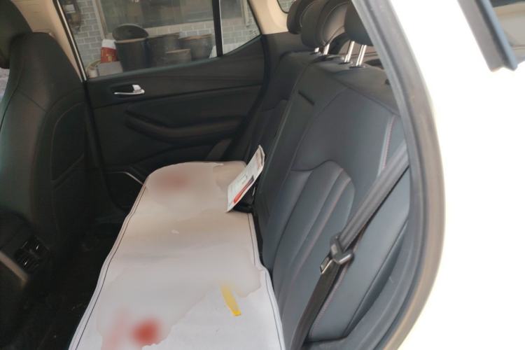 Used GAC Trumpchi GS4 2021 270T Manual Elite Edition Left Rear Seat