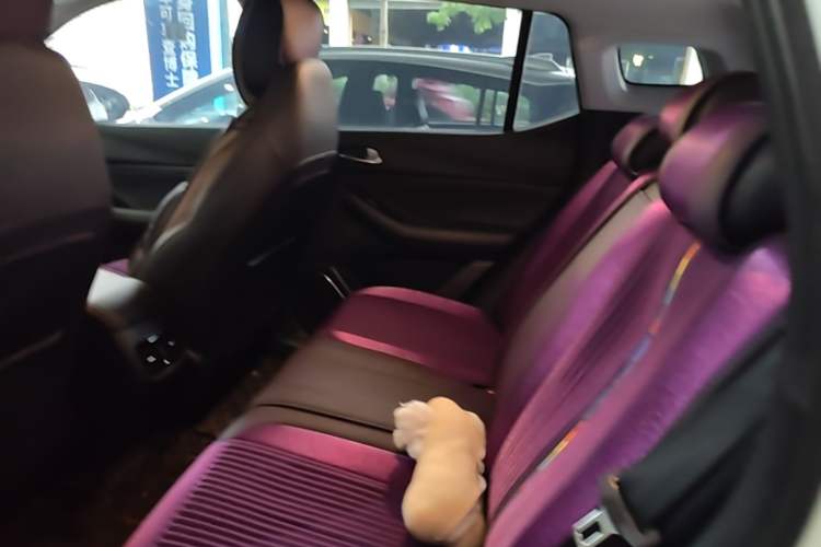 Used GAC Trumpchi GS4 2021 270T Automatic Smart Connectivity Technology Edition Left Rear Seat