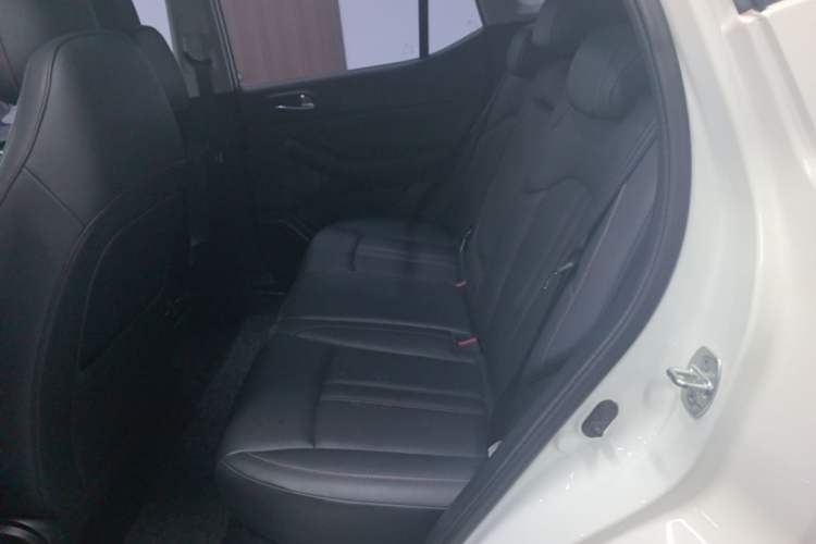 Used GAC Trumpchi GS4 2021 270T Automatic Elite Tech Edition Left Rear Seat