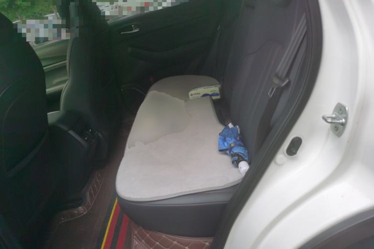 Used GAC Trumpchi GS4 2021 270T Manual Elite Edition Left Rear Seat