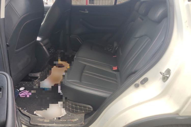 Used GAC Trumpchi GS4 2021 270T Automatic Smart Connectivity Technology Edition Left Rear Seat