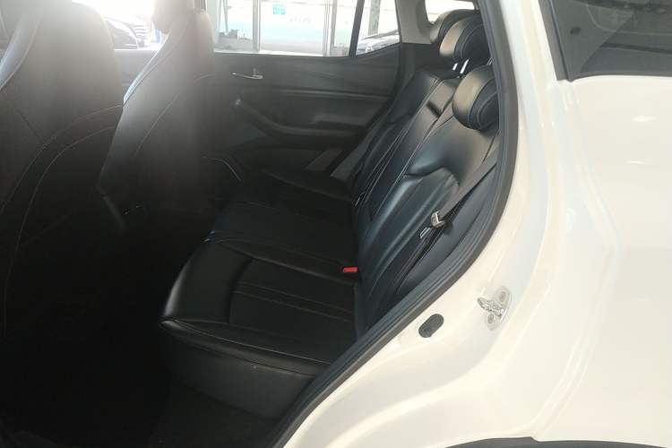 Used GAC Trumpchi GS4 2022 270T Automatic Smart Drive Navigation Edition Left Rear Seat