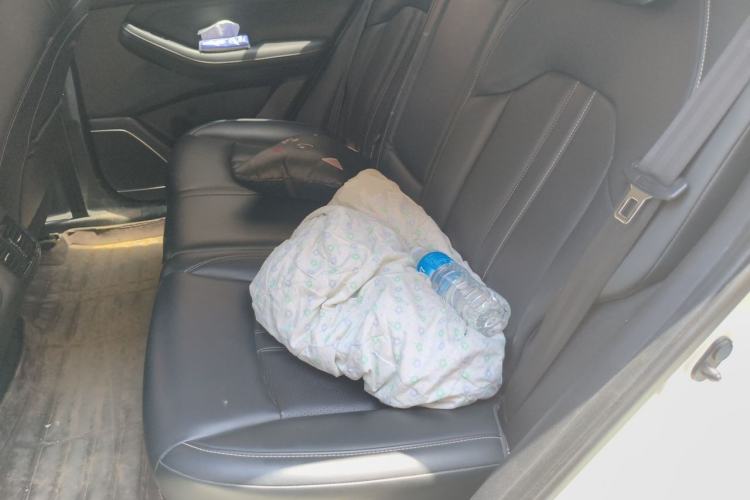 Used GAC Trumpchi GS4 2022 270T Automatic Smart Drive Navigation Edition Left Rear Seat