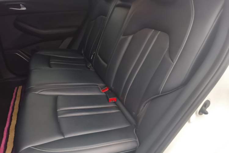 Used GAC Trumpchi GS4 2023 270T Automatic Smart Drive Technology Edition Left Rear Seat