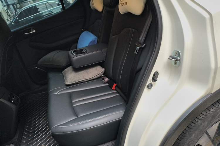 Used GAC Trumpchi GS4 2023 270T Automatic Smart Drive Technology Edition Left Rear Seat