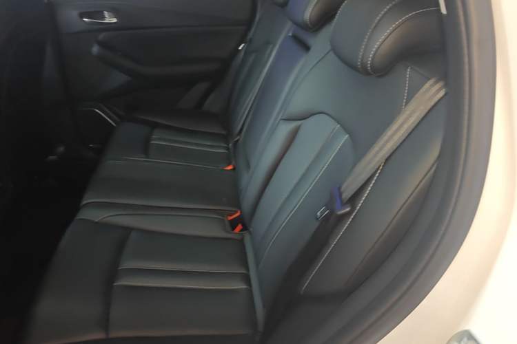 Used GAC Trumpchi GS4 2023 270T Automatic Smart Drive Technology Edition Left Rear Seat