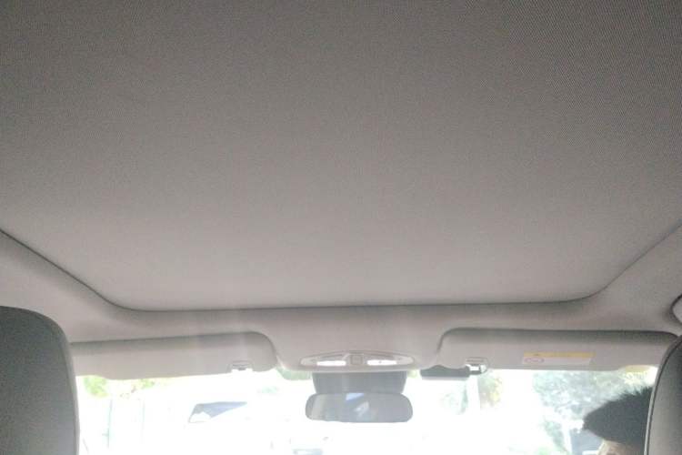 Used GAC Trumpchi GS4 2024 MAX 1.5T Flagship Edition Headliner