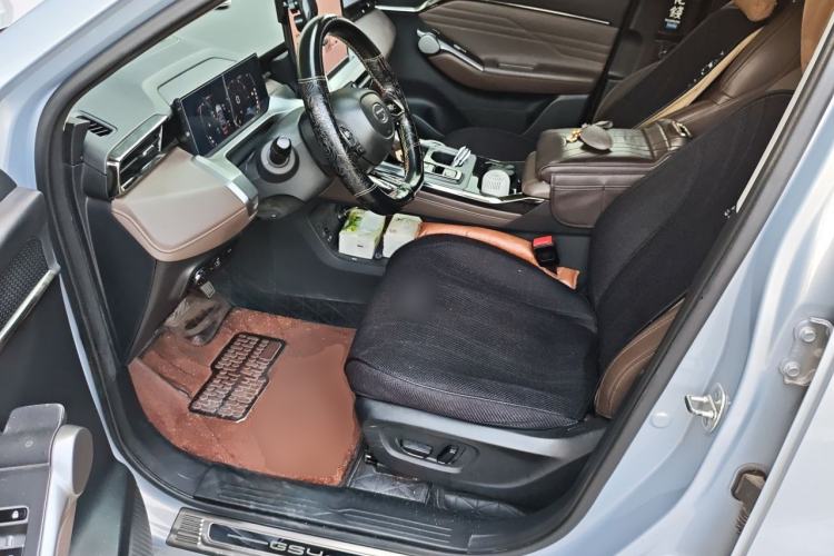 Used GAC Trumpchi GS4 2024 MAX 1.5T Flagship Edition Left Front Seat