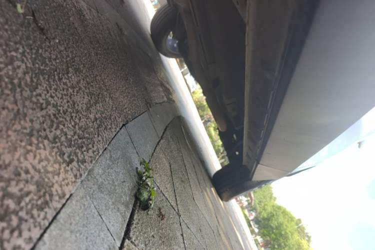 Used GAC Trumpchi GS4 2024 MAX 1.5T Flagship Edition Left Side Sill