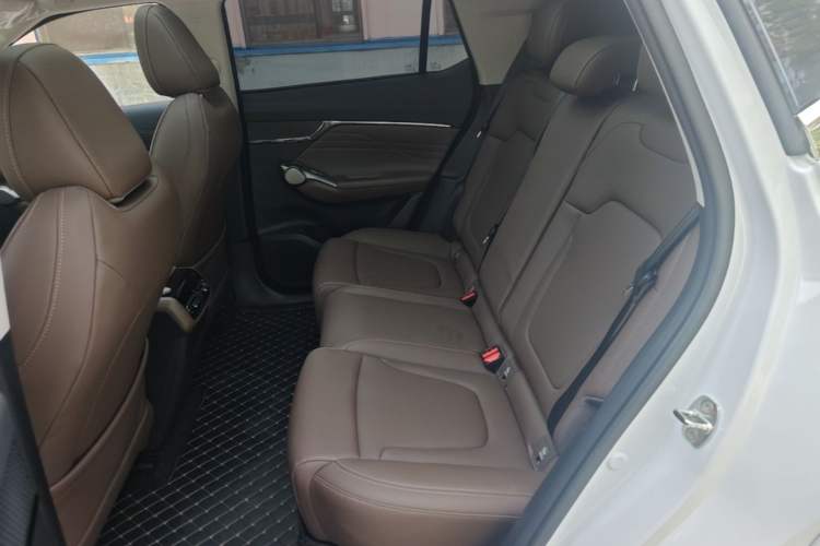 Used GAC Trumpchi GS4 2024 MAX 1.5T Flagship Edition Left Rear Seat
