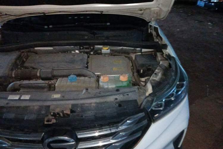 Used GAC Trumpchi GS4 New Energy 2019 1.5L PHEV Smart Enjoyment Version Engine Bay Left