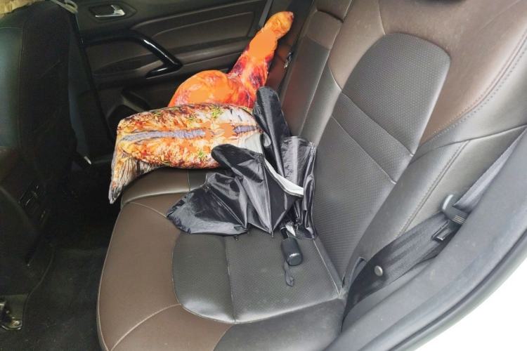 Used GAC Trumpchi GS4 New Energy 2019 1.5L PHEV Deluxe Edition Left Rear Seat