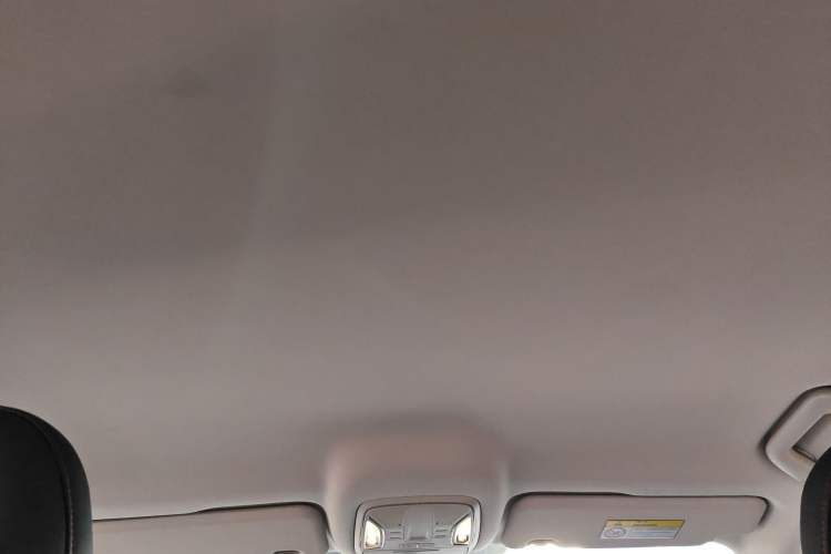 Used GAC Trumpchi GS4 New Energy 2020 1.5T PHEV Smart Enjoyment Version Headliner