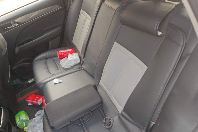 Used GAC Trumpchi GS4 PLUS 2021 390T Automatic Nebula Edition Left Rear Seat