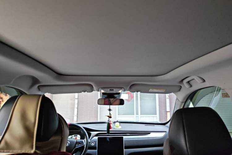 Used GAC Trumpchi GS4 PLUS 2021 270T Automatic Star Edition Headliner