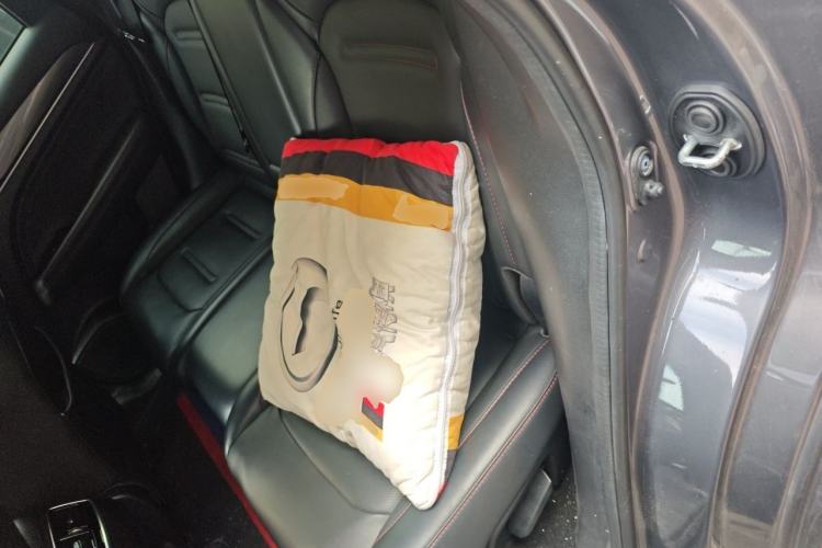 Used GAC Trumpchi GS4 PLUS 2021 270T Automatic Star Edition Left Rear Seat