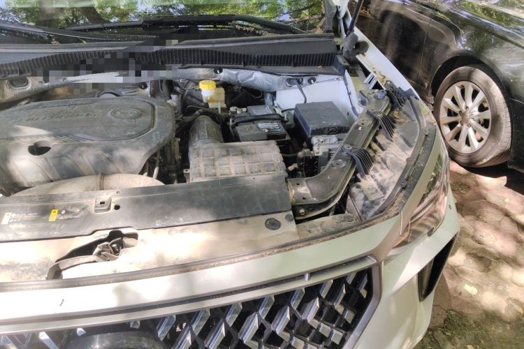 Used GAC Trumpchi GS4 PLUS 2021 270T Automatic Galaxy Edition Engine Bay Left