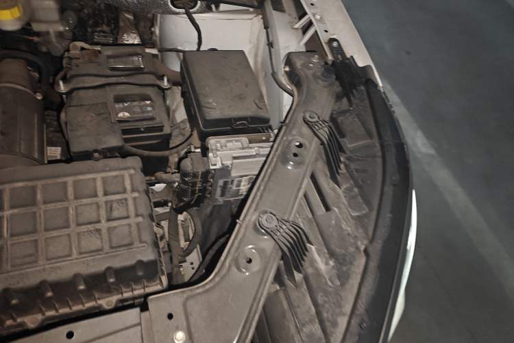 Used GAC Trumpchi GS4 PLUS 2021 270T Automatic Star Edition Engine Bay Left