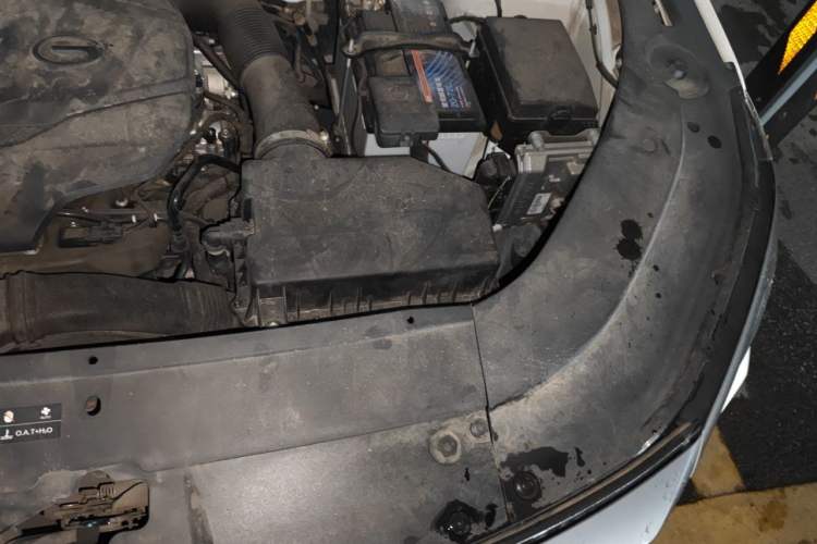 Used GAC Trumpchi GS4 PLUS 2021 390T Automatic Nebula Edition Engine Bay Left