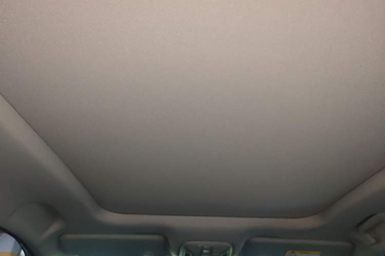 Used GAC Trumpchi GS4 PLUS 2021 270T Automatic Star Edition Headliner
