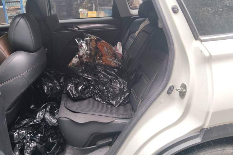 Used GAC Trumpchi GS4 PLUS 2021 390T Automatic Nebula Edition Left Rear Seat