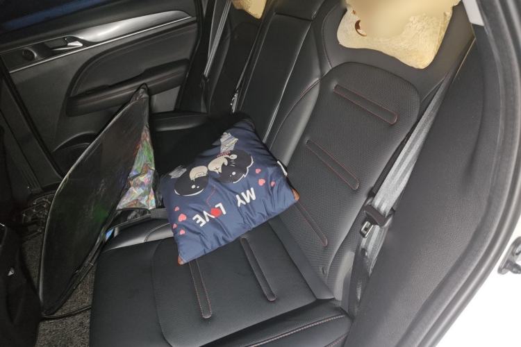 Used GAC Trumpchi GS4 PLUS 2021 270T Automatic Star Edition Left Rear Seat