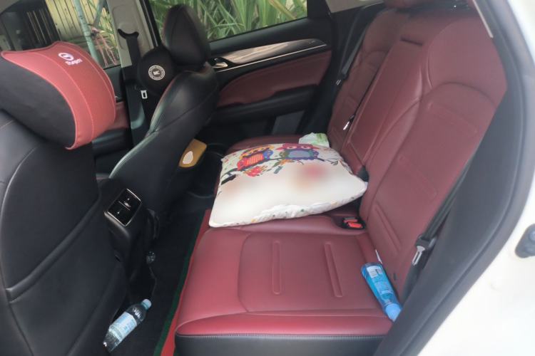 Used GAC Trumpchi GS4 PLUS 2021 390T Automatic Nebula Edition Left Rear Seat
