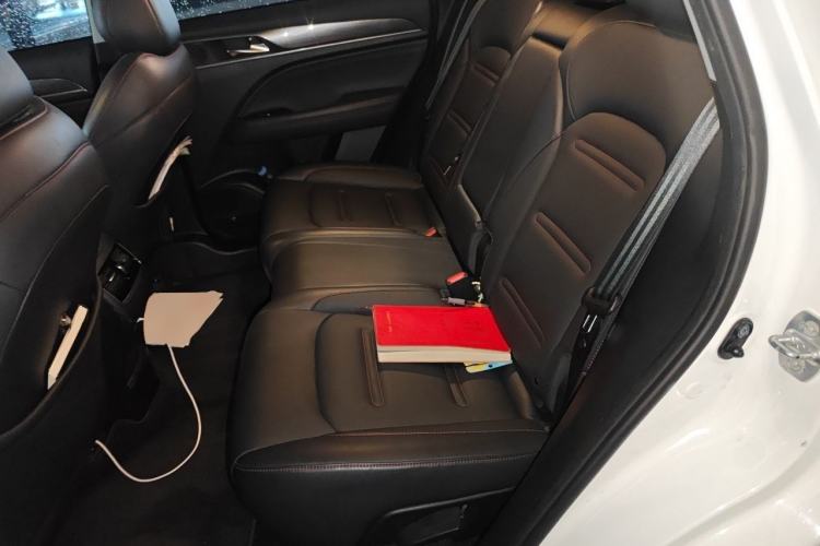 Used GAC Trumpchi GS4 PLUS 2021 390T Automatic Nebula Edition Left Rear Seat