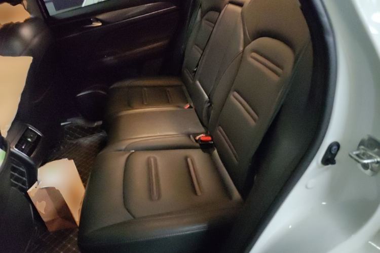 Used GAC Trumpchi GS4 PLUS 2021 390T Automatic Nebula Edition Left Rear Seat