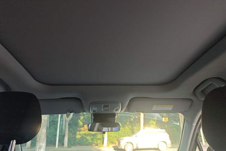 Used GAC Trumpchi GS4 PLUS 2022 270T Automatic Star Edition Headliner