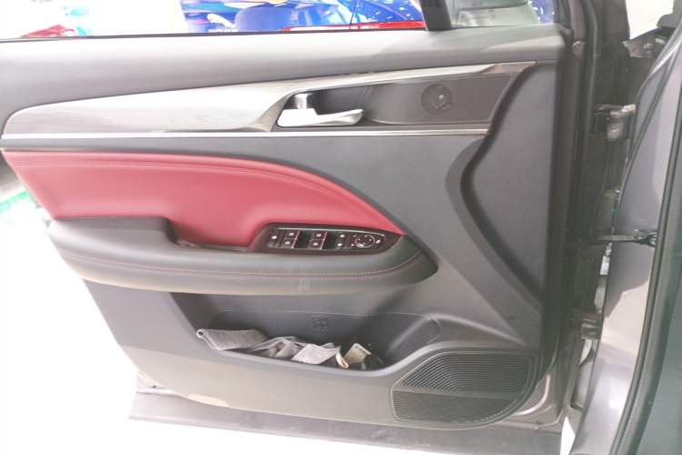 Used GAC Trumpchi GS4 PLUS 2022 270T Automatic Galaxy Edition Left Front Door Interior