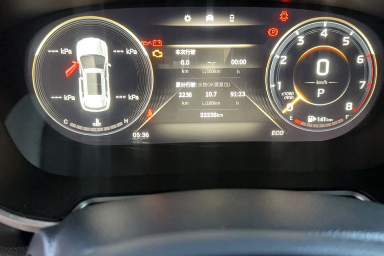 Used GAC Trumpchi GS4 PLUS 2022 390T Automatic Galaxy Edition Odometer Close Up