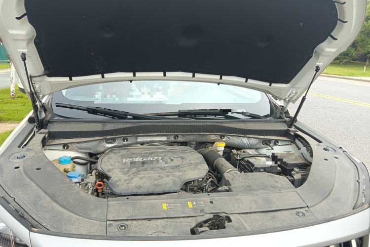 Used GAC Trumpchi GS4 PLUS 2022 390T Automatic Nebula Edition Engine Bay