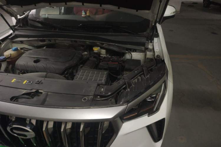 Used GAC Trumpchi GS4 PLUS 2022 270T Automatic Star Edition Engine Bay Left