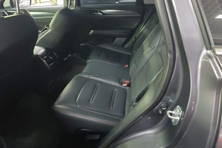Used GAC Trumpchi GS4 PLUS 2023 390T Automatic Nebula Edition Left Rear Seat