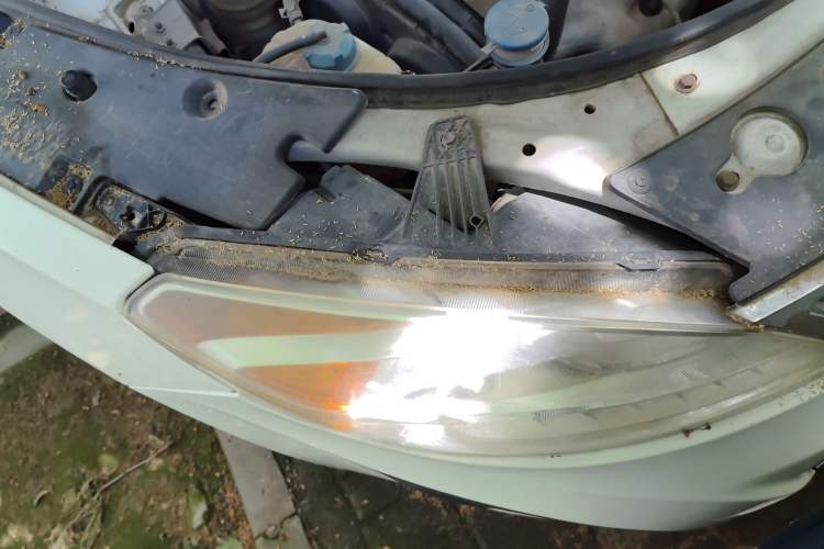 Used GAC Trumpchi GS5 2013 2.0L Automatic Two-Wheel Drive Light Interior Special Edition Right Front Headlight