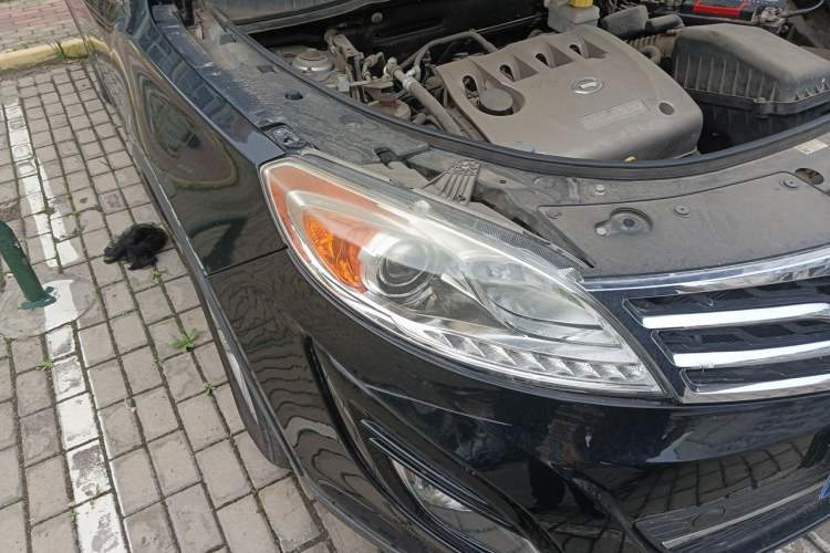 Used GAC Trumpchi GS5 2014 2.0L Automatic Two-Wheel Drive Deluxe Edition Right Front Headlight